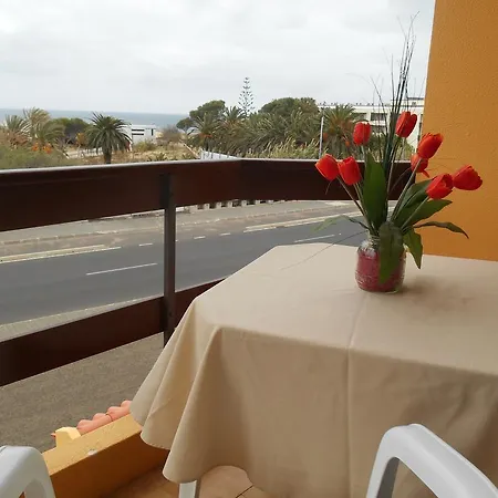 Apartment Colina Cabeco da Ponta